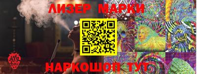стафф Кингисепп