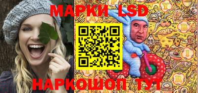 стафф Кингисепп
