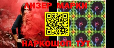 стафф Кингисепп