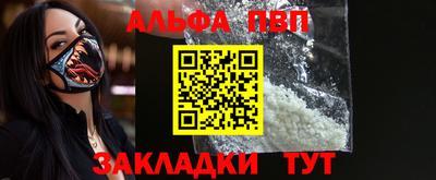 стафф Кингисепп