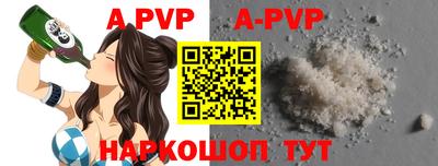 стафф Кингисепп