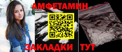 стафф Кингисепп
