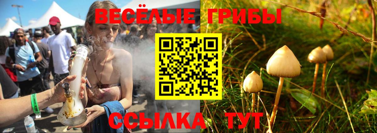 Будённовск  Псилоцибиновые грибы Psilocybe  Галлюциногенные грибы мицелий  Вход с VPN 