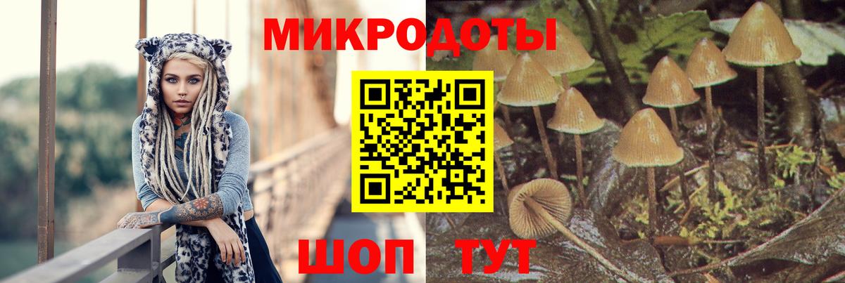 Псилоцибиновые грибы прущие грибы Будённовск